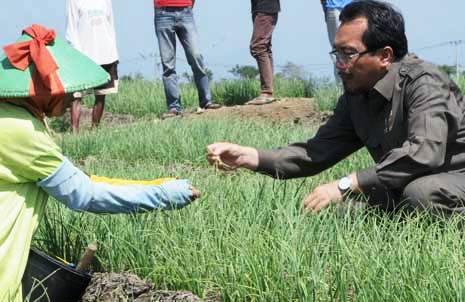 Mentan Suswono Usulkan TNI, Polri Turut Berantas Hama